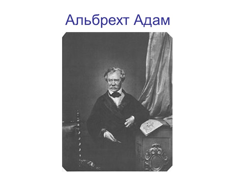 Альбрехт Адам